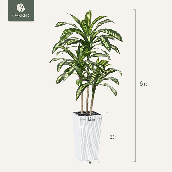 Artificial Dracaena Tree, 6FT UV Resistant Fake Plants with White Taper Planter, Lifelike Tall Artificial Floor Plants for Indoor & Outdoor, Faux Tree for Home Courtyard Decor