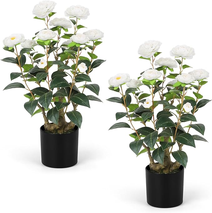 Romantic Season 2FT White Artificial Camellia Tree 2Pack, Faux Camellia Plant Fake Potted Camellia Flower Tree Plastic Camellia Tree for Modern Home Office Living Room Floor Décor