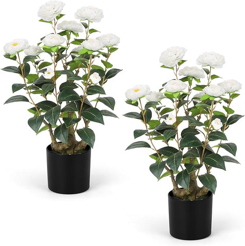 Romantic Season 2FT White Artificial Camellia Tree 2Pack, Faux Camellia Plant Fake Potted Camellia Flower Tree Plastic Camellia Tree for Modern Home Office Living Room Floor Décor