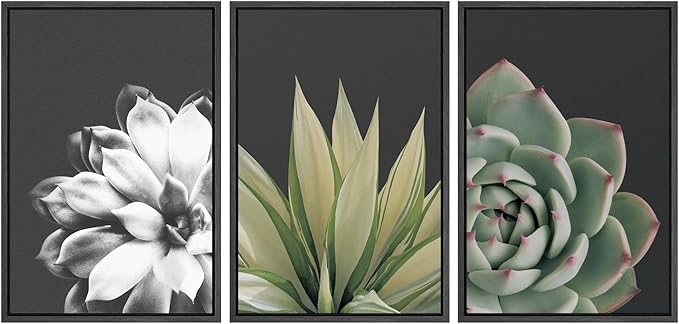 SIGNWIN Framed Wall Art Print Set Echeveria Succulent Variety Nature Plants Photography Modern Art Closeup Relax/Calm Dark Black and White for Living Room, Bedroom, Office - 16"x24"x3 Black