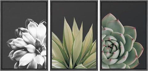 SIGNWIN Framed Wall Art Print Set Echeveria Succulent Variety Nature Plants Photography Modern Art Closeup Relax/Calm Dark Black and White for Living Room, Bedroom, Office - 16"x24"x3 Black