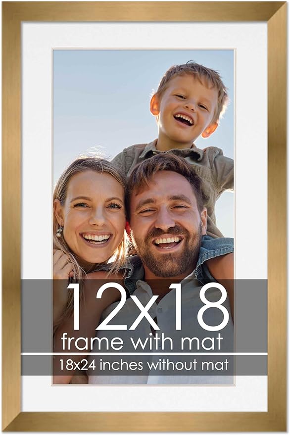12x18 Frame with Mat - Bronze 18x24 Frame Wood Made to Display Print or Poster Measuring 12 x 18 Inches with White Photo Mat