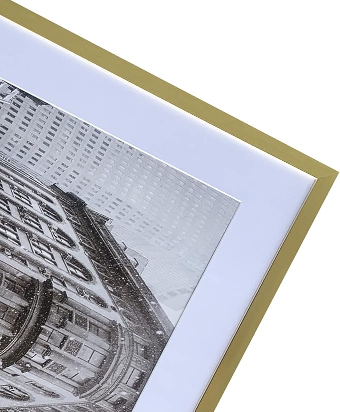 Art Emotion Gold Picture Frame Set - 20x24 Frame with Mat for 16x20 Picture or 20x24 Without Mat, Versatile Horizontal and Vertical Display for Wall - Pack of 4.