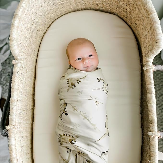 GRSSDER Baby Blankets Super Soft Stretchy Jersey Swaddle Blanket 2 Pack for Girls and Boys, Double Layer Reversible Receiving Blankets 34 x 44, Extra Large for Swaddling, Dinosaurs