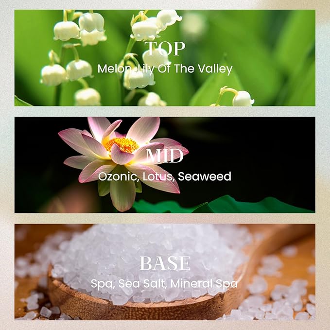 M&SENSE 10.14 oz Large Reed Diffuser Set | Ocean Escape Scent Oil Diffuser with Sticks | Hotel Collection Non-Toxic Essential Oil |for Bedroom Bathroom Living Room