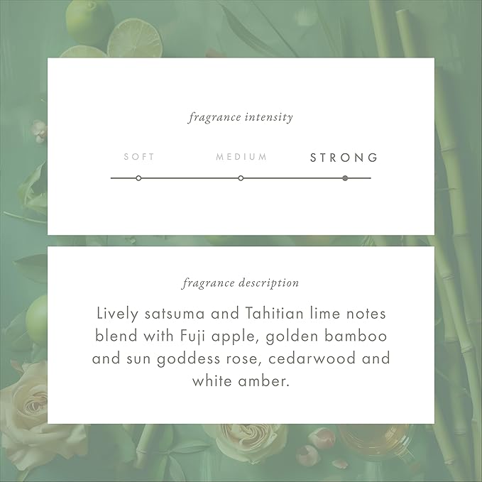 Monthly Fragrance Cartridge for Whisper Home - Golden Bamboo