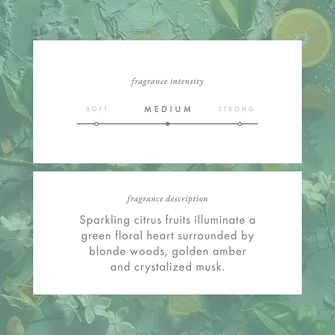 Monthly Fragrance Cartridge for Whisper Home - A Walk in the Woods
