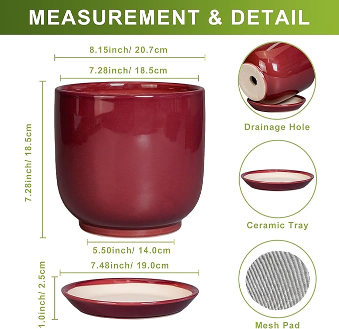 Ceramic Flower Pot for Plants - Cylinder Modern 8 Inch Plant Pot Indoor with Drainage Hole and Saucer, Home Office Room Porch Decor, Red