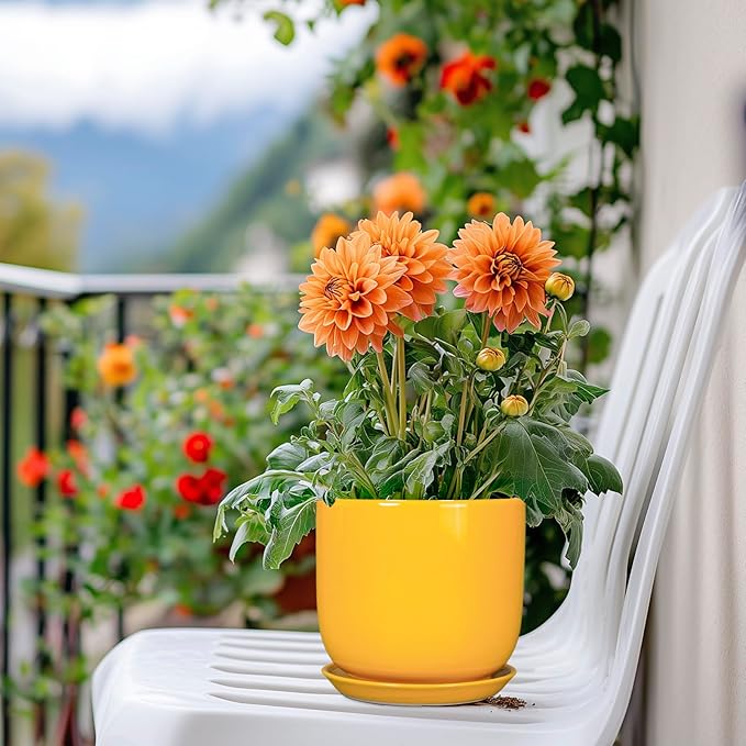 Plant Pot 5 Inch - Modern Round Indoor Ceramic Planter with Drainage Hole and Tray for Succulent Cactus Herbs Plants, Home House Garden Office Decor, Yellow
