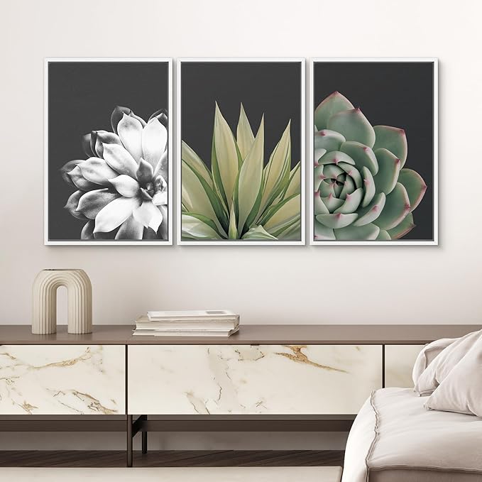 SIGNWIN Framed Wall Art Print Set Echeveria Succulent Variety Nature Plants Photography Modern Art Closeup Relax/Calm Dark Black and White for Living Room, Bedroom, Office - 16"x24"x3 White