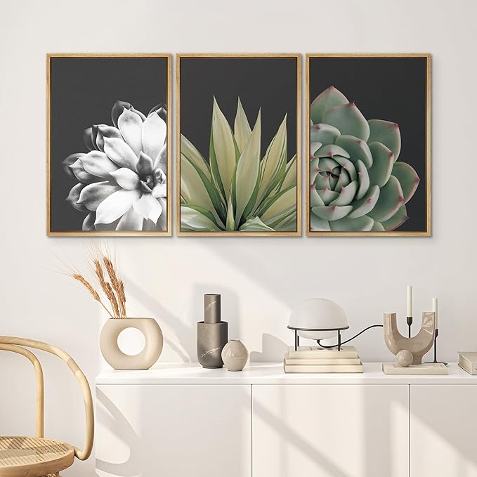 SIGNWIN Framed Wall Art Print Set Echeveria Succulent Variety Nature Plants Photography Modern Art Closeup Relax/Calm Dark Black and White for Living Room, Bedroom, Office - 16"x24"x3 Natural