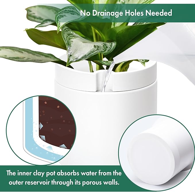 Phoenix Vine 10 Inch Cylinder Self Watering Planter, White Glazed Outer Plant Pot with Dolomite Clay Inner Planter for Indoor Plants, White, 31-A-I-W