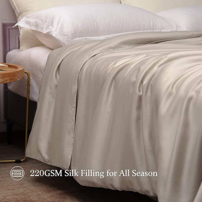 CUDDLE DREAMS Silk Filled Comforter for All Season, Detachable Tencel Duvet Cover for Easy Care, Naturally Breathable (Light Pewter, Queen)