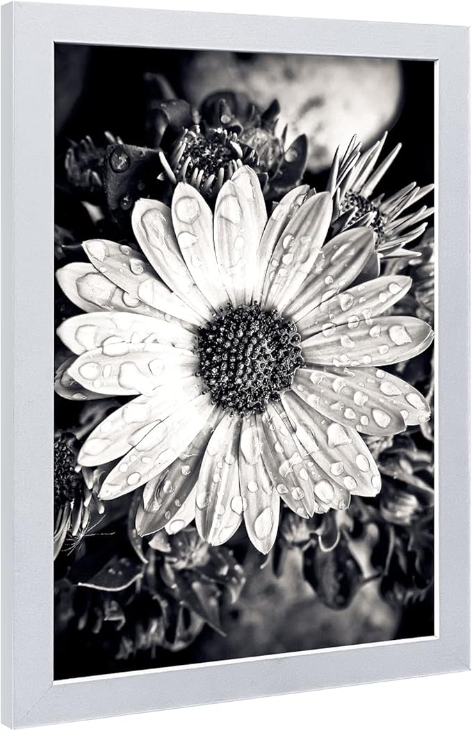 VCK Poster Frames 11x17 White Set of 5,Solid Wood Picture Frames for Wall Mounting Hanging Art and Puzzle Frame