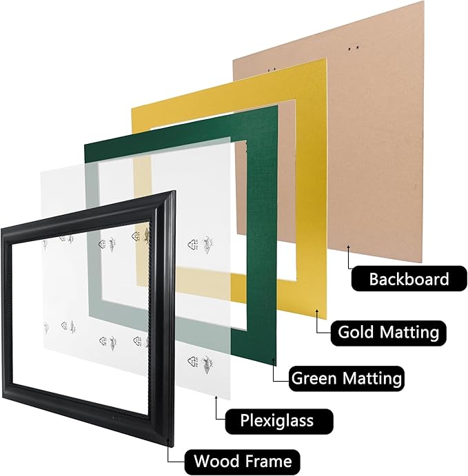 11x14 Diploma Degree Frame with Green Mat or Display 15x18 Certificates without Mat,Solid Wood,Black Finish with Intricate Black Rope Detail,UV Protection Acrylic