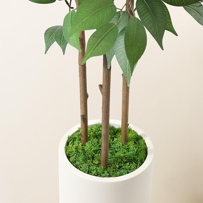 Ficus Artificial Tree 5ft Tall Fake Ficus Tree for Home Decor Indoor Faux Silk Ficus Plant Fake Floor Plant in White Imitation Ceramic Planter with Green Fake Moss, Set of 1