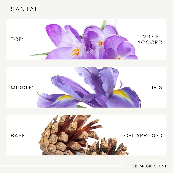 Santal Diffuser Oil - Fragrance Oil Scent - Cold-Air & Ultrasonic Santal Essential Oil - Aroma Diffuser Oils Scents for Home - Sandalwood, Musk & Cardamom - 16.9 fl oz, 500 mL