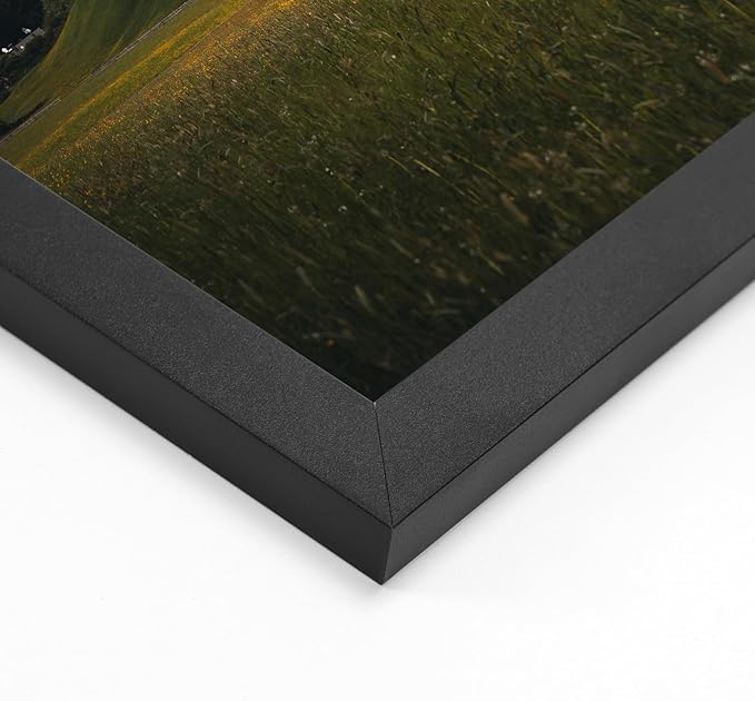Giftgarden 21x26 Picture Frames Matted to 17x22 Picture with Mat, Display 21x26 Poster without Mat or 17x22 Poster with Mat, Black, Set of 4