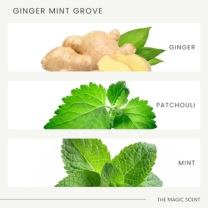 Ginger Mint Grove Diffuser Oil - Hotel & Home Luxury Scents - Diffuser Oil Scents for Home Designed for Use in All Diffusers - 4 fl oz, 120 mL