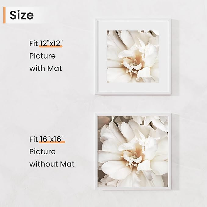 16x16 inch Picture Frame, 16x16 Photo Frames with 12x12 Removable Mat - High Definition Plexiglass - Vertical and Horizontal Display - Wall Hanging Frame - White, 3 Pack