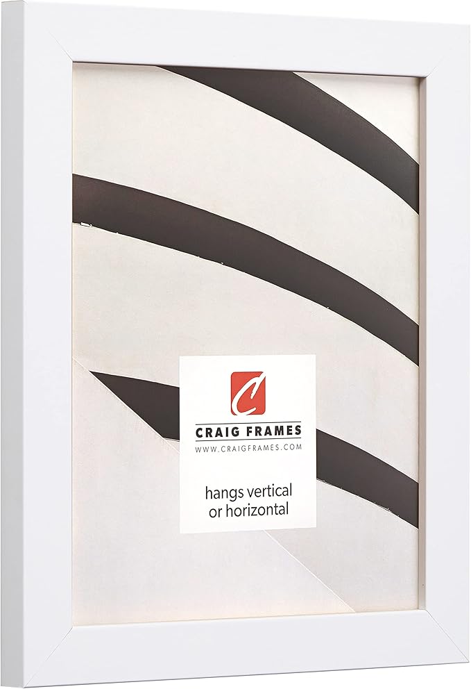 Craig Frames Essentials, Modern 1 Inch Wide 20 x 27 Inch White Picture Frame Matted to Display a 16 x 24 Inch Photo