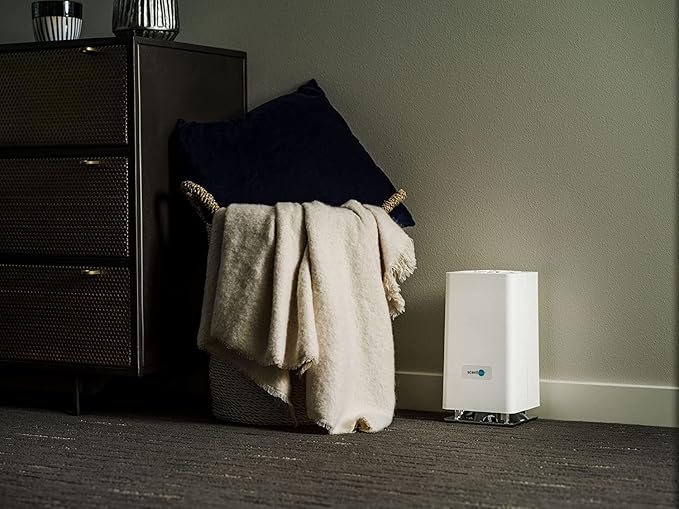 Monthly Fragrance Cartridge for Whisper Home - Eucalyptus Mint