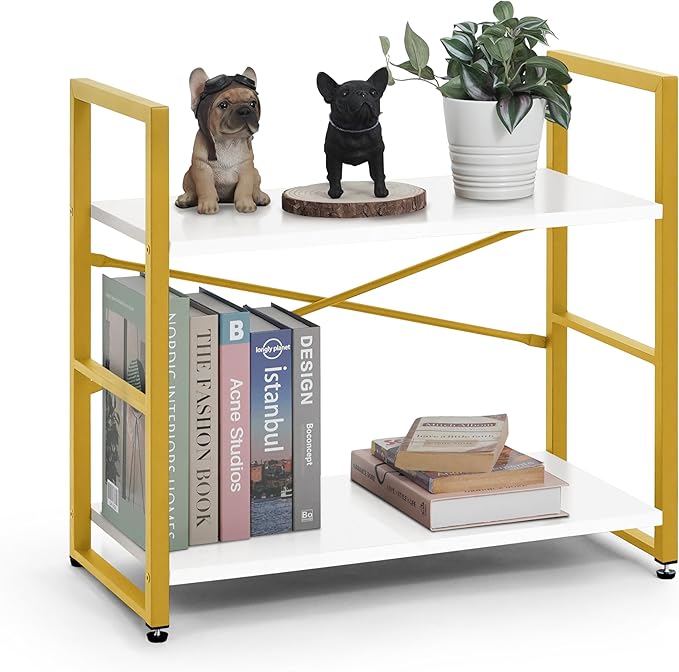 CAPHAUS 2 Tier Small Bookshelf, 24 Inch Width Free Standing Shelf, Bookcase Shelf Storage Organizer, Industrial Book Shelves for Home Office, Living Room, White Wooden Shelves & Gold Frame