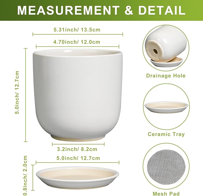 Indoor Plant Pot 5 Inch - Round Ceramic Planter for Succulent Plants with Drainage Hole and Saucer, Modern Home Decor, White