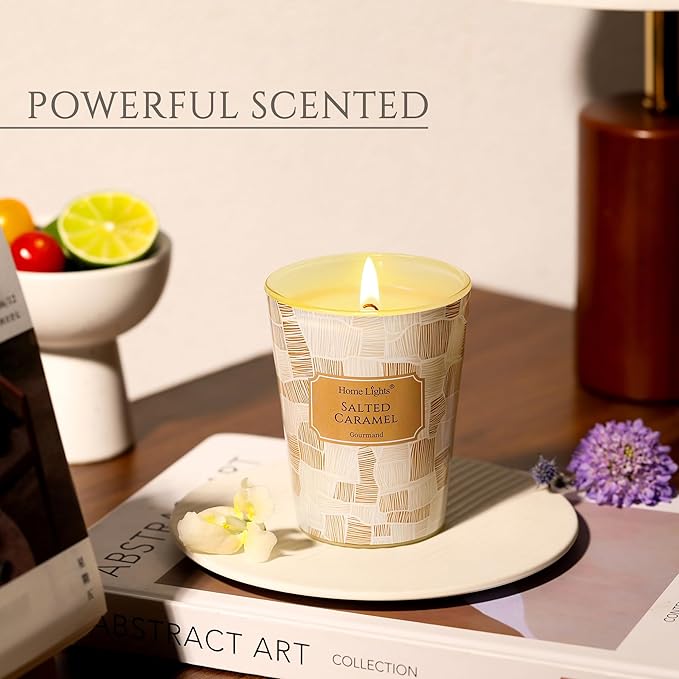 HomeLights Soy Wax Candles for Home Scented, 1-Wick Candles in Salted Caramel Scented, Rustic Modern Aromatherapy Candles Gift for Parties, Relaxing, 6.7oz