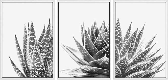 SIGNWIN Framed Wall Art Print Set Trio of Zebra Succulents Floral Plants Photography Modern Art Minimalist Closeup Dramatic Black and White for Living Room, Bedroom, Office - 24"x36"x3 White