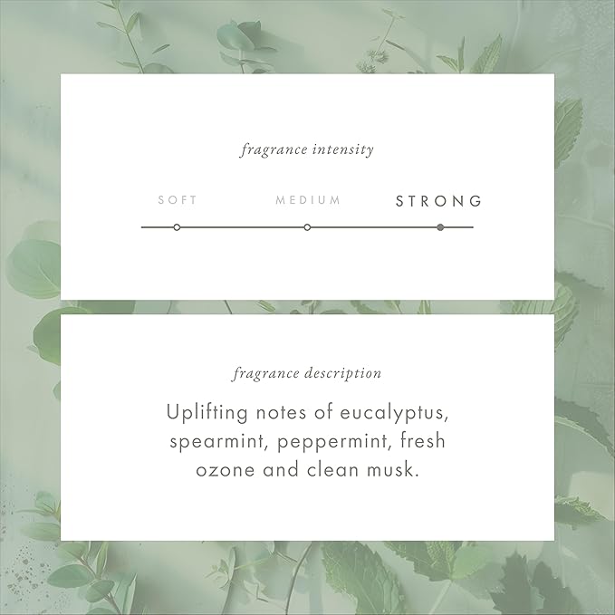 Monthly Fragrance Cartridge for Whisper Home - Eucalyptus Mint