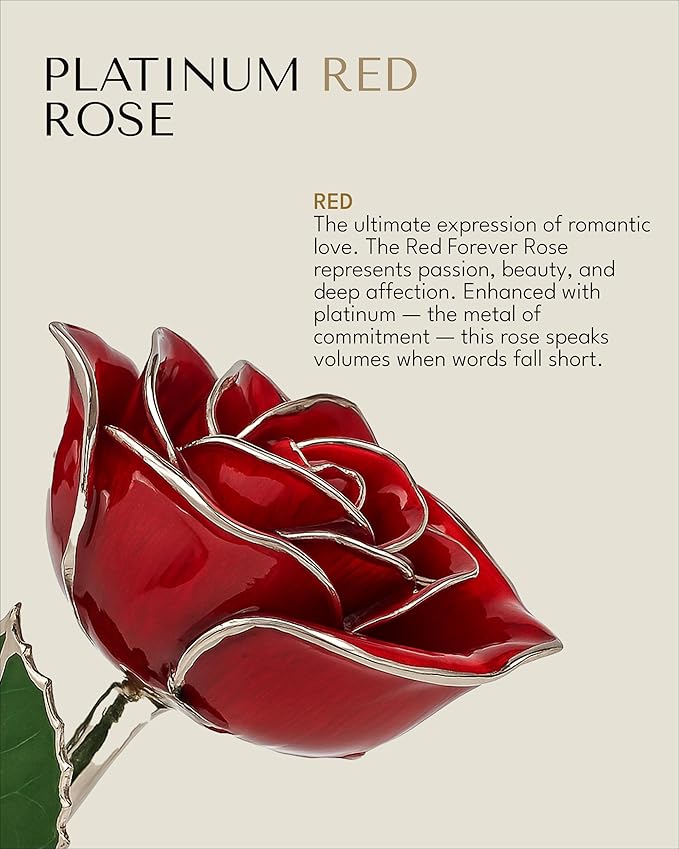 Forever Rose Real Red Rose with Platinum Trimmed Petals and Platinum Stem, Handcrafted Preserved Rose in Luxury Gold Gift Box, Romantic Gift for Her, Elegant Gift for Any Occasion