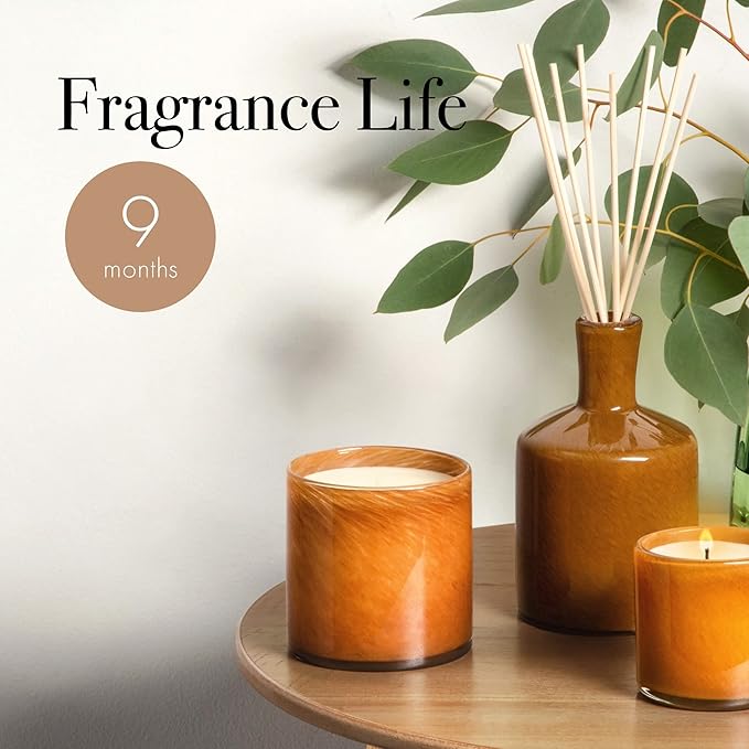 LAFCO Reed Diffuser, Foyer - Amber Black Vanilla, 15 Fl Oz