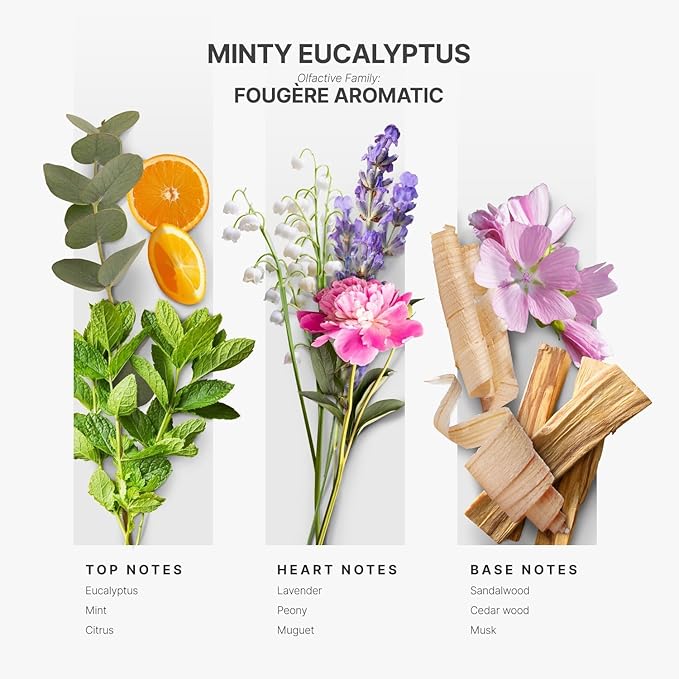 AromaPlan Hotel Scents Minty Eucalyptus 16 Fl Oz (473ml), Home Luxury Aroma & Hotel Diffuser Oil- Hotel Diffuser Oil for Aromatherapy- USA Made, Bigger Bottle, Bolder Aroma & Longer Lasting