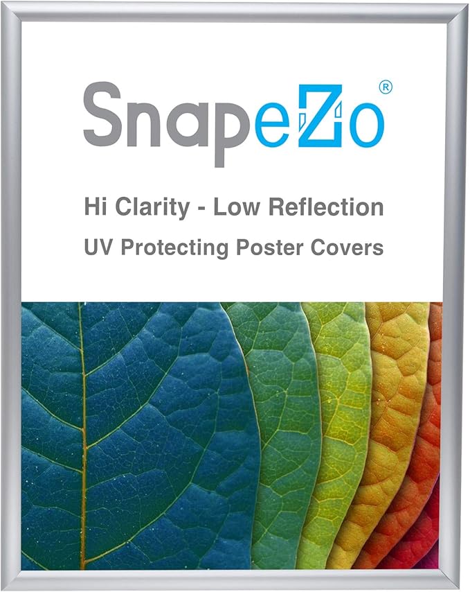 SnapeZo Poster Frame 18x24 Inches, Silver 1 Inch Aluminum Profile, Front-Loading Snap Frame, Wall Mounting, Sleek Series