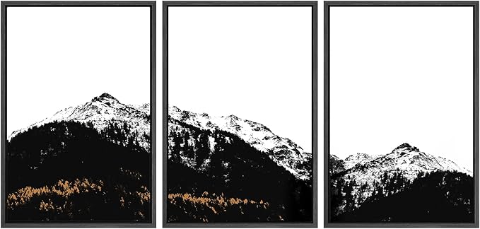 SIGNWIN 3 Piece Framed Canvas Wall Art Black and White Mountain Tops Photo Nature Wilderness Illustrations Abstract Traditional Home Artwork Decoration for Living Room,Bedroom - 16"x24"x3 Black