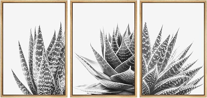 SIGNWIN Framed Wall Art Print Set Trio of Zebra Succulents Floral Plants Photography Modern Art Minimalist Closeup Dramatic Black and White for Living Room, Bedroom, Office - 24"x36"x3 Natural