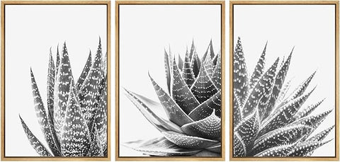 SIGNWIN Framed Wall Art Print Set Trio of Zebra Succulents Floral Plants Photography Modern Art Minimalist Closeup Dramatic Black and White for Living Room, Bedroom, Office - 24"x36"x3 Natural