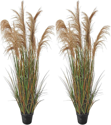 Alonfala - 69" (2-Pack) Pampas Grass Potted Plants - Artificial Faux Plants Featuring Tall Grass, Housewarming, and New Home Celebration. Elevate with Fake Plants, Ideal for Floor Decor