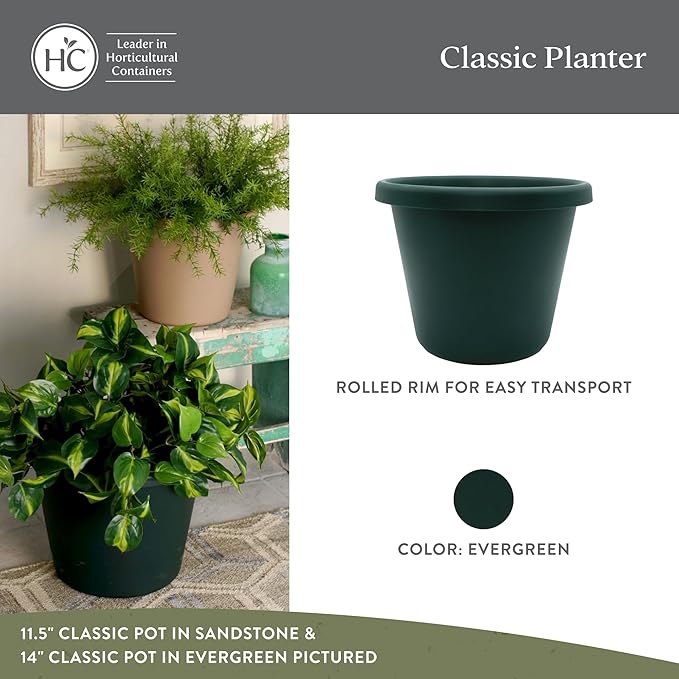 The HC Companies Classic Round Plastic Plant Pot w/Rolled Rim - Lightweight & UV Resistant Flower Pot for Herbs & More - Outdoor & Indoor Plant Pots w/Drainage (8.5 inch Evergreen, Pack of 1)