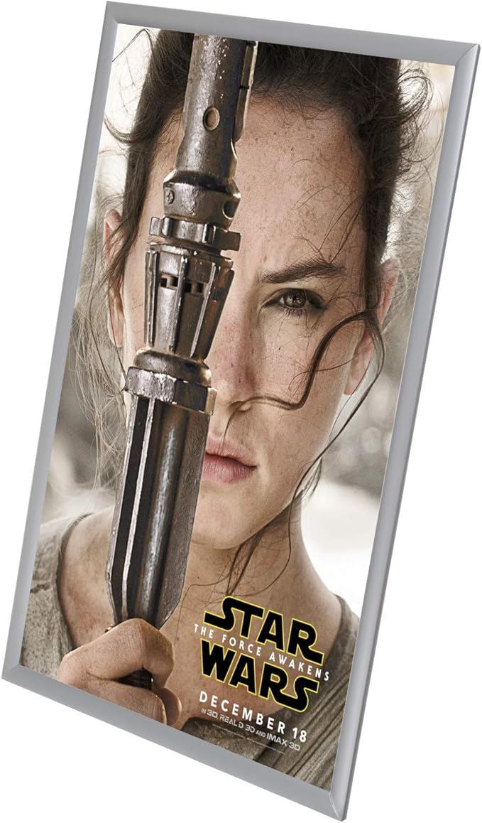SnapeZo 2-Pack 24x36 Inches Silver Poster Frames, Front-Loading Snap Frame, 1" Aluminum Profile, Wall Mounted