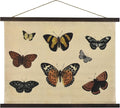 American Art Decor Butterflies Collage Tapestry Wall Art - Monarchs & Fritillaries by Heather Myers