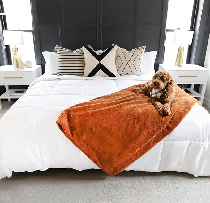 Gray Eagle Oversized Queen Comforter, White, All Season Down Alternative Comforter Queen, Extra Large Queen Comforter, Oversized Queen Duvet Insert, Fluffy Hotel Comforter, 104 x 98 inches