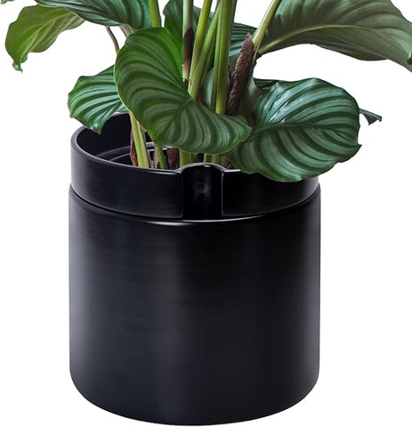 Phoenix Vine 10 Inch Cylinder Self Watering Planter, Black Glazed Outer Plant Pot with Dolomite Clay Inner Planter for Indoor Plants, Black, 31-A-I-B
