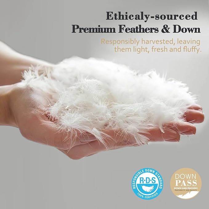 Organic Feathers Down Comforter Full Size, All Season Duvet Insert with 100% Organic Cotton Cover, Medium Warm Bed Comforter with Corner Tabs(82x86, White)