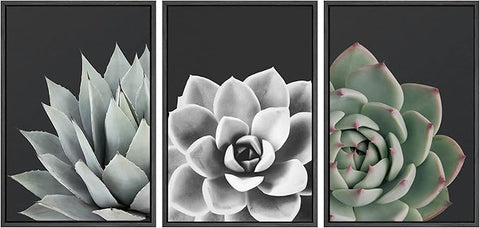 SIGNWIN Framed Wall Art Print Set Desert Rose Echeveria Succulent Set Nature Plants Photography Modern Art Closeup Relax/Calm Dark Black and White for Living Room, Bedroom, Office - 24"x36"x3 Black