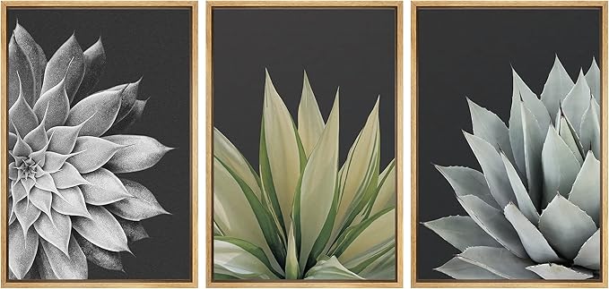 SIGNWIN Framed Canvas Print Wall Art Trio of Echevaria Succulents Floral Plants Photography Modern Art Minimalist Closeup Dramatic Black and White for Living Room, Bedroom, Office - 24"x36"x3 Natural