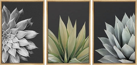 SIGNWIN Framed Canvas Print Wall Art Trio of Echevaria Succulents Floral Plants Photography Modern Art Minimalist Closeup Dramatic Black and White for Living Room, Bedroom, Office - 24"x36"x3 Natural