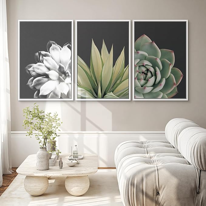 SIGNWIN Framed Wall Art Print Set Echeveria Succulent Variety Nature Plants Photography Modern Art Closeup Relax/Calm Dark Black and White for Living Room, Bedroom, Office - 16"x24"x3 White