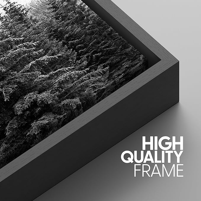 SIGNWIN 3 Piece Framed Canvas Wall Art Woodland Nursery Decor Black and White Forest Photo Nature Illustrations Abstract Traditional Home Artwork Decoration for Living Room,Bedroom - 16"x24"x3 Black